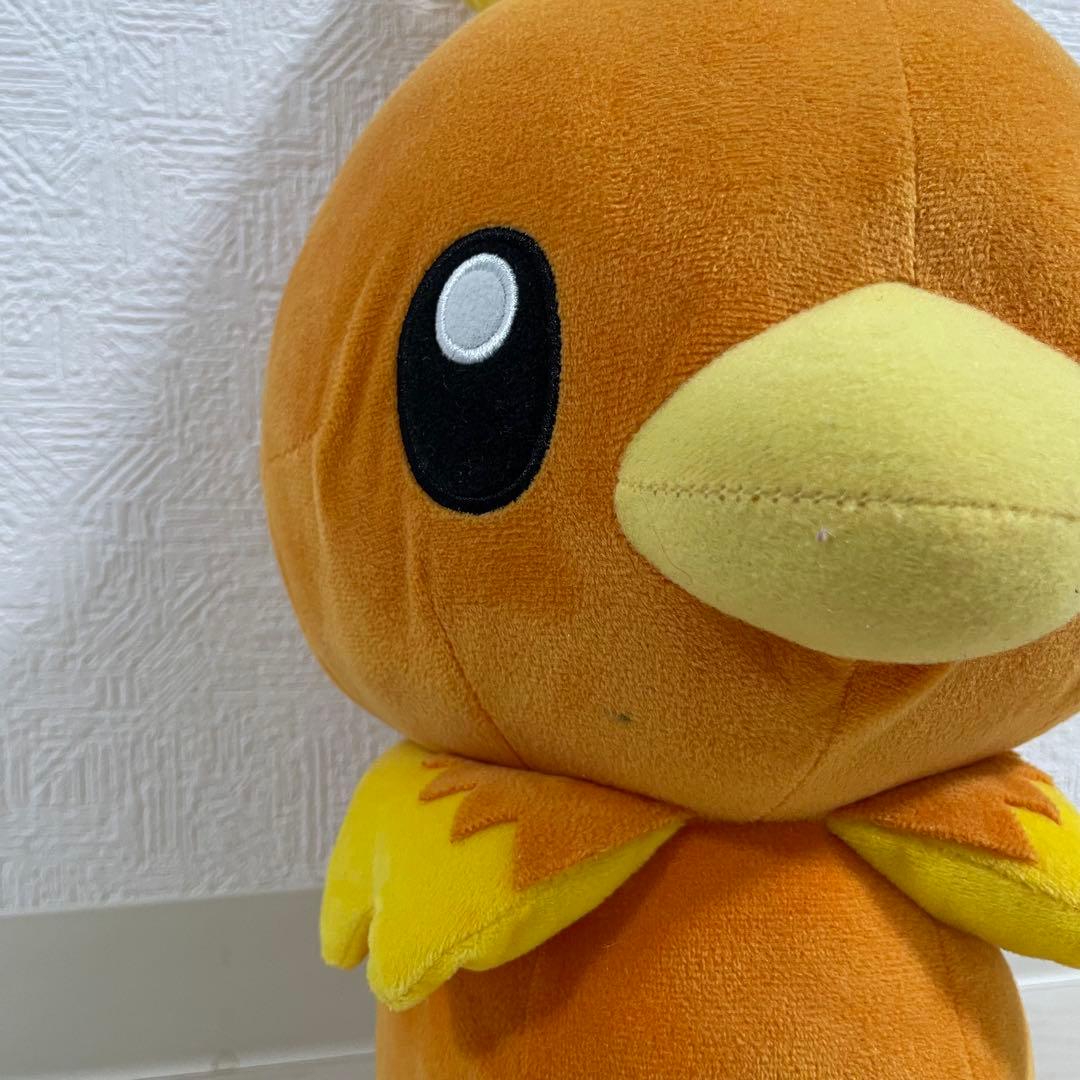ポケモン ぬいぐるみセット 19個