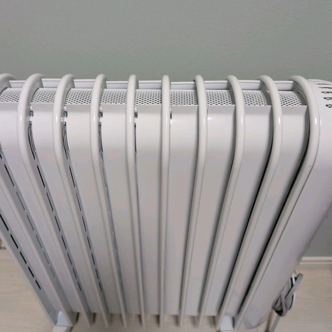 【美品】 デロンギ RHJ45M1115-LG アミカルド