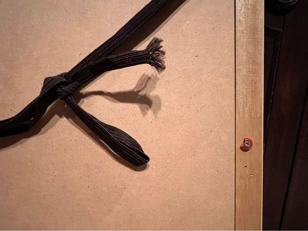 ベルナール ビュッフェ ポピー 額縁 インテリア