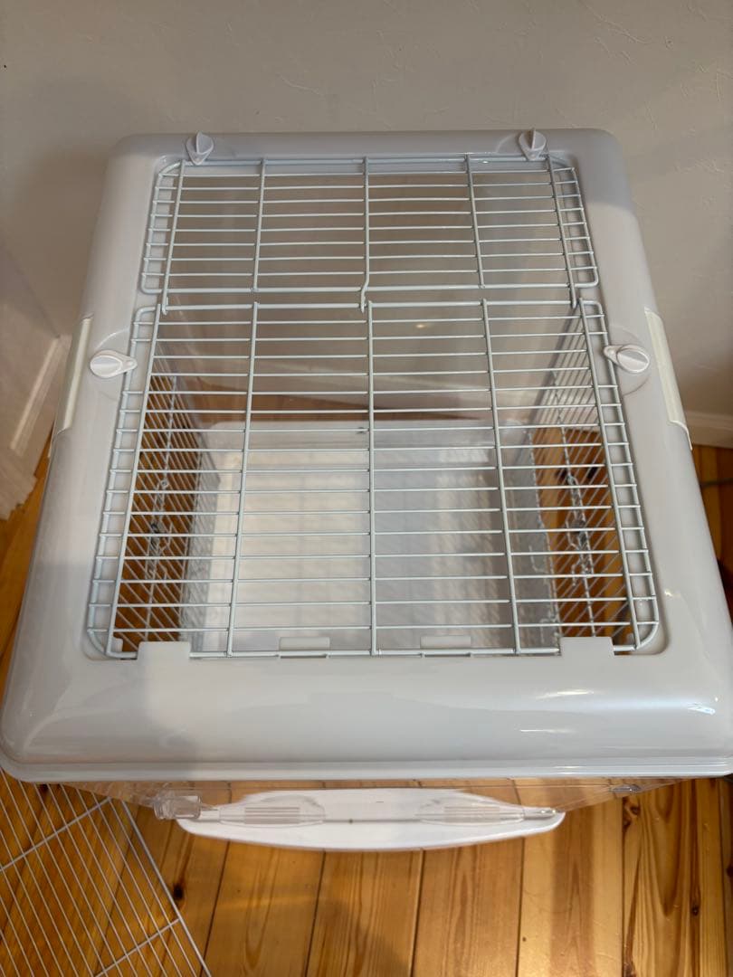 クリアバード40