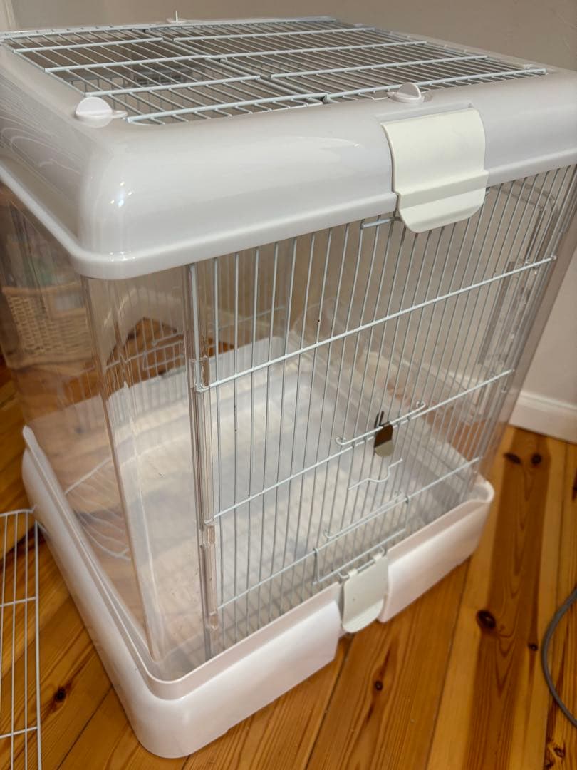 クリアバード40