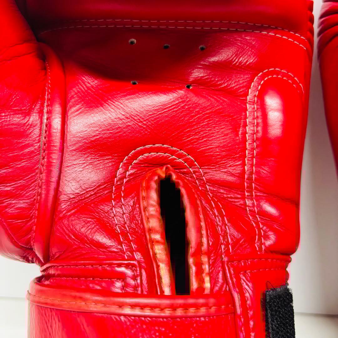 TWINS SPECIAL キックボクシンググローブ 16oz レッド 本革製