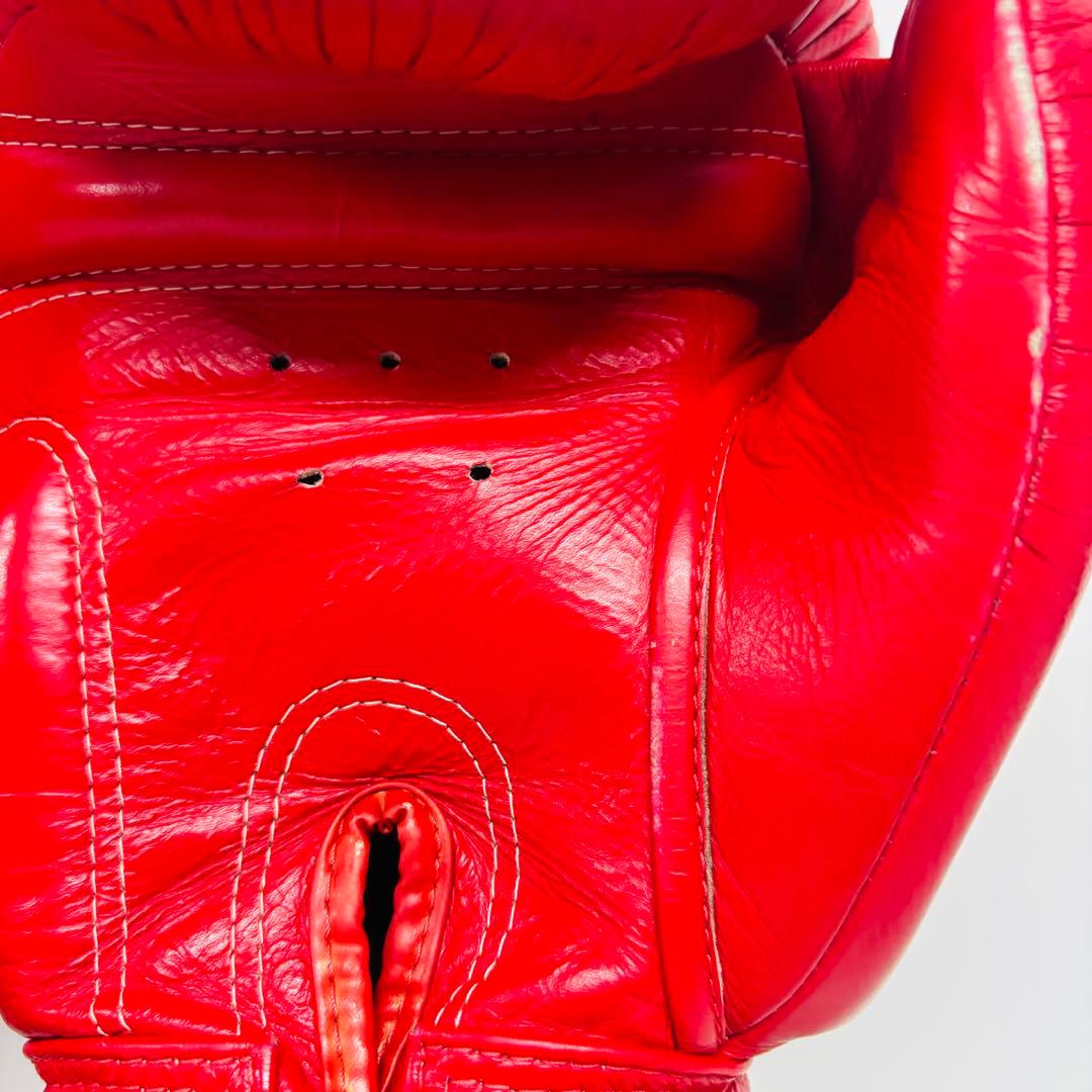 TWINS SPECIAL キックボクシンググローブ 16oz レッド 本革製