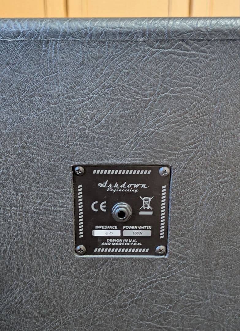 大槻裕ミゲールヌネス　　Ashdown　 10インチ×2　アッシュダウン