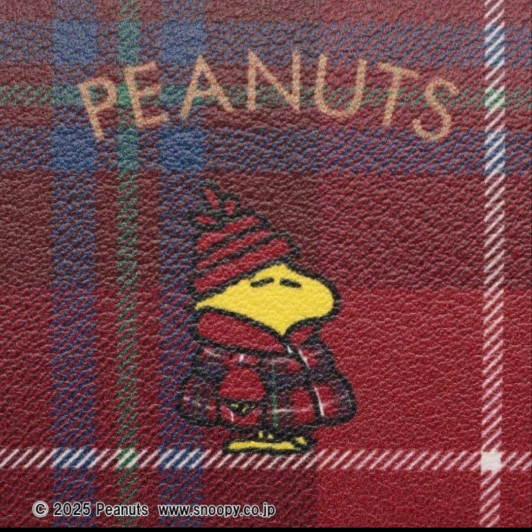 スヌーピー アフタヌーンティーコラボ ペンケース ダウン ピーナッツ