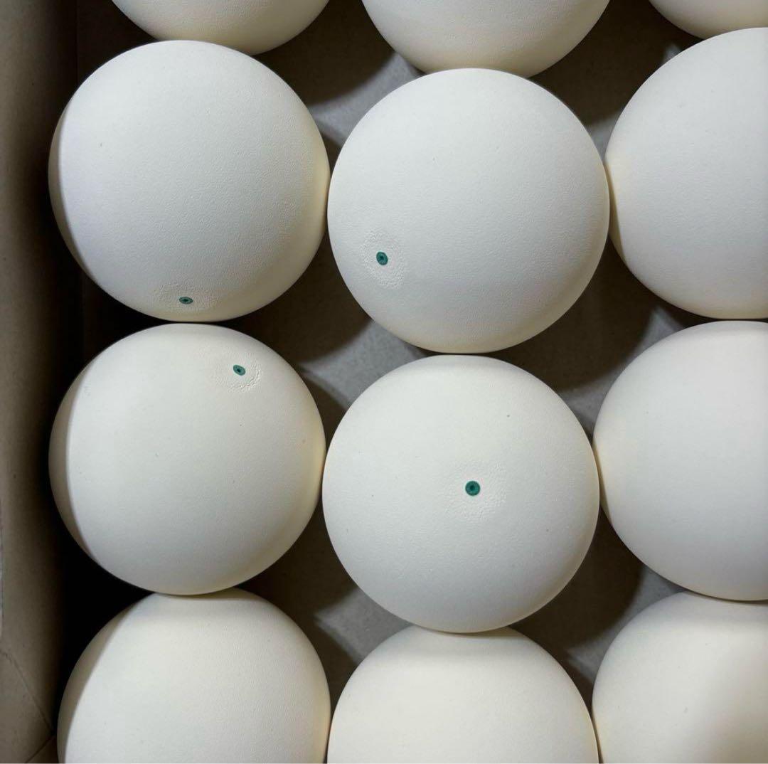 【期間限定価格】ソフトテニス ボール 60球 新品