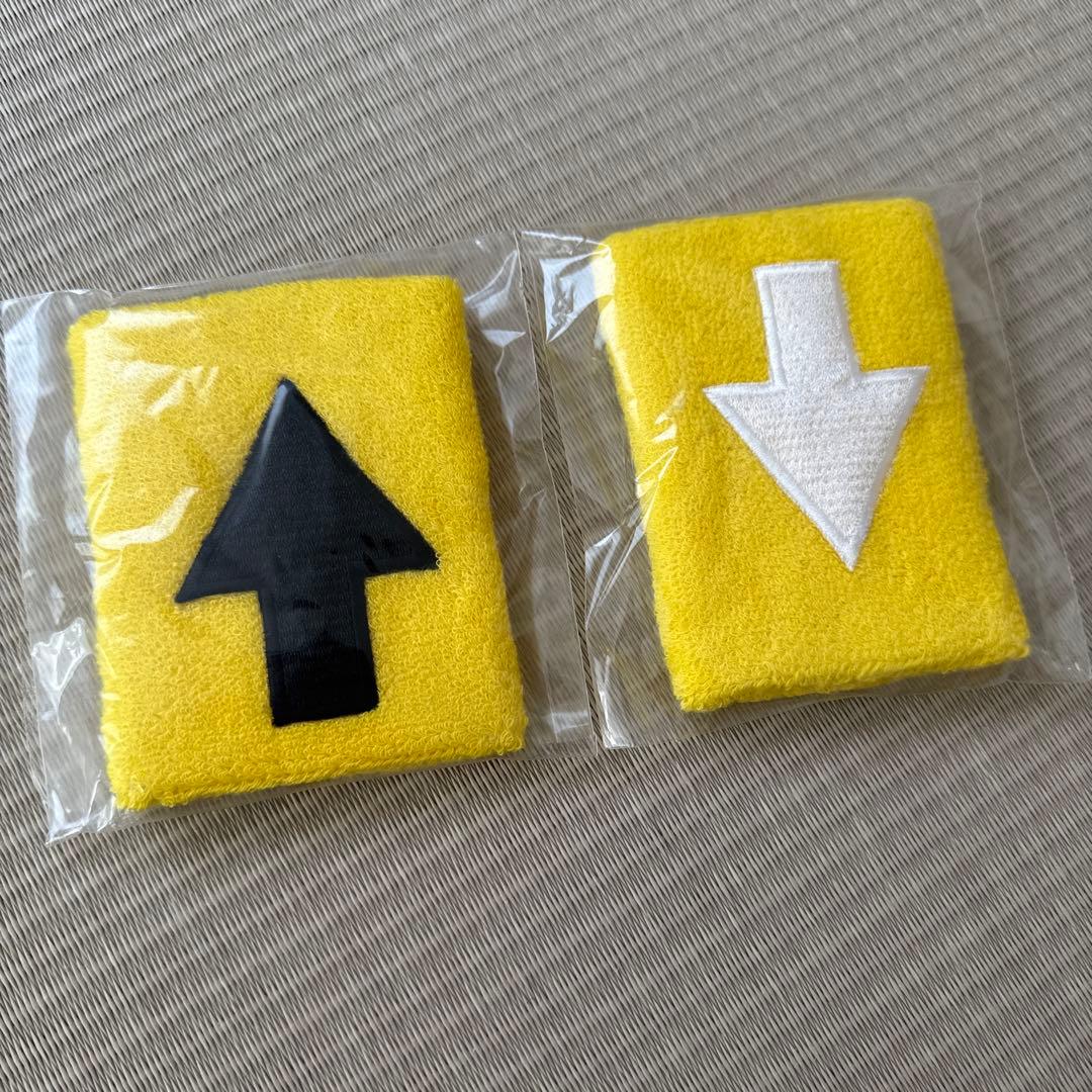 新品未使用＊THE HIGH-LOWS_Relaxin' グッズセット