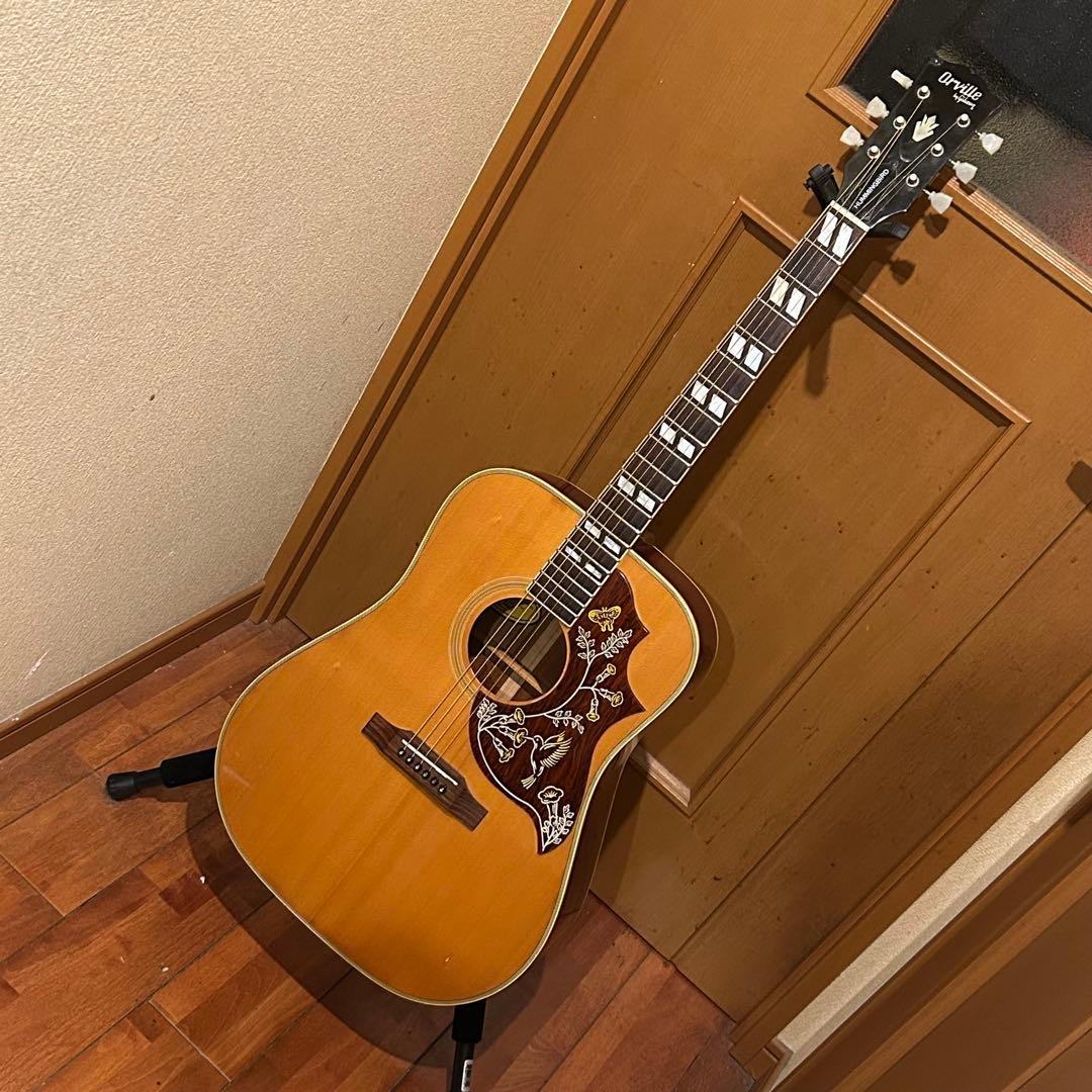 超レア！Orville by Gibson HUMMINGBIRDエレアコ
