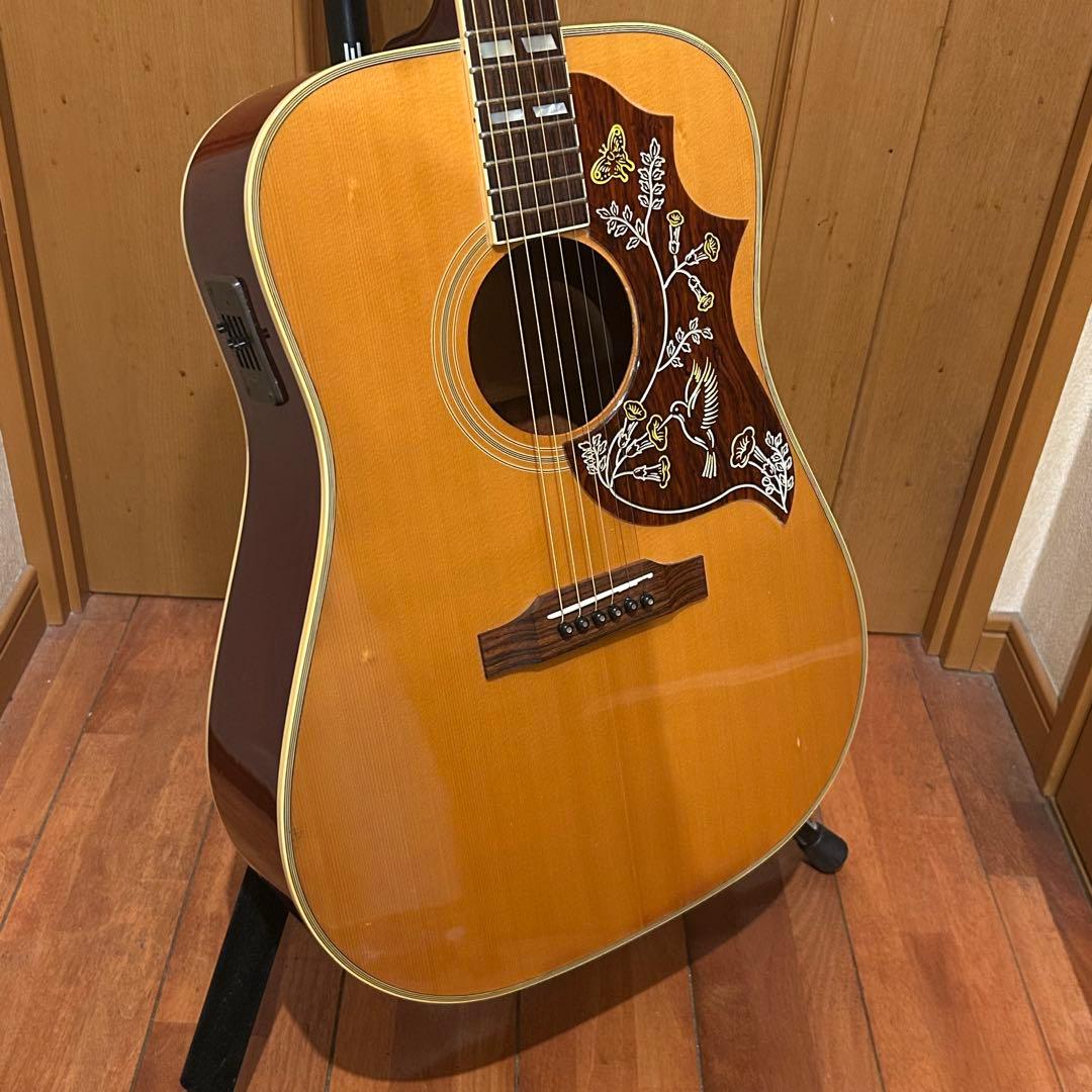 超レア！Orville by Gibson HUMMINGBIRDエレアコ