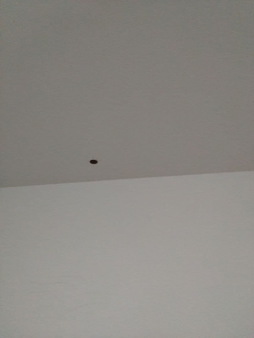 ★Ｓ様予約済　 上置無し　クローゼットのみ ワードローブ クローゼット