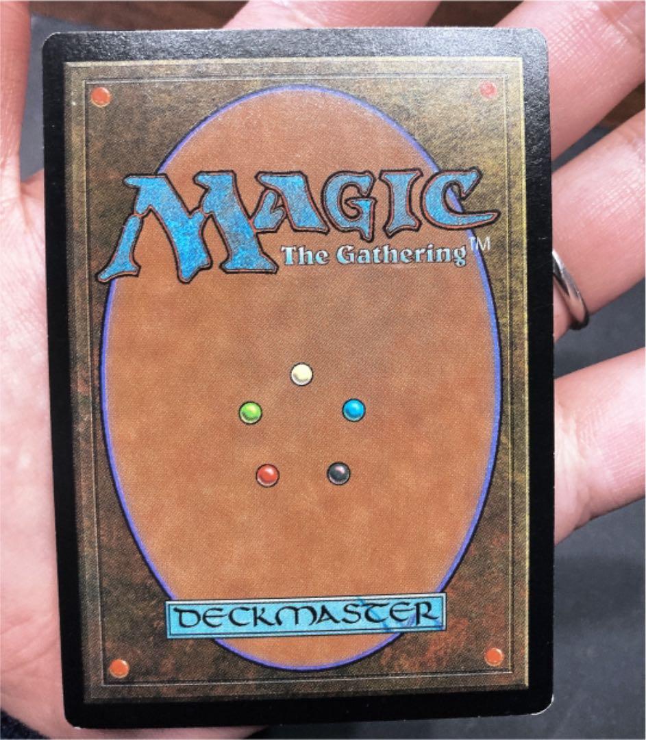 【最終値下】MTG 日本語foil 欲深きドラゴン