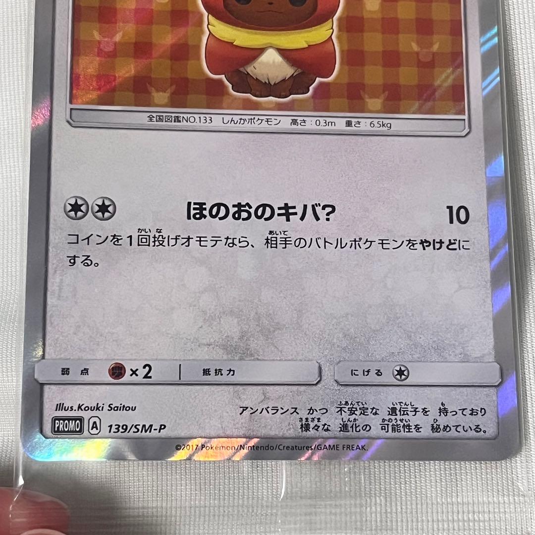 ポンチョを着たイーブイ　ブースター