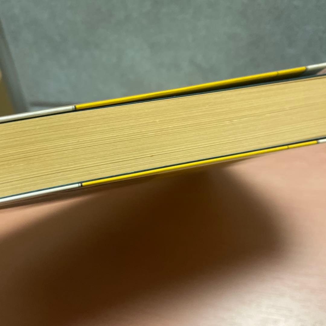 ⭐️入手困難⭐️絶版初版⭐️ディオ デーモン・ナイト