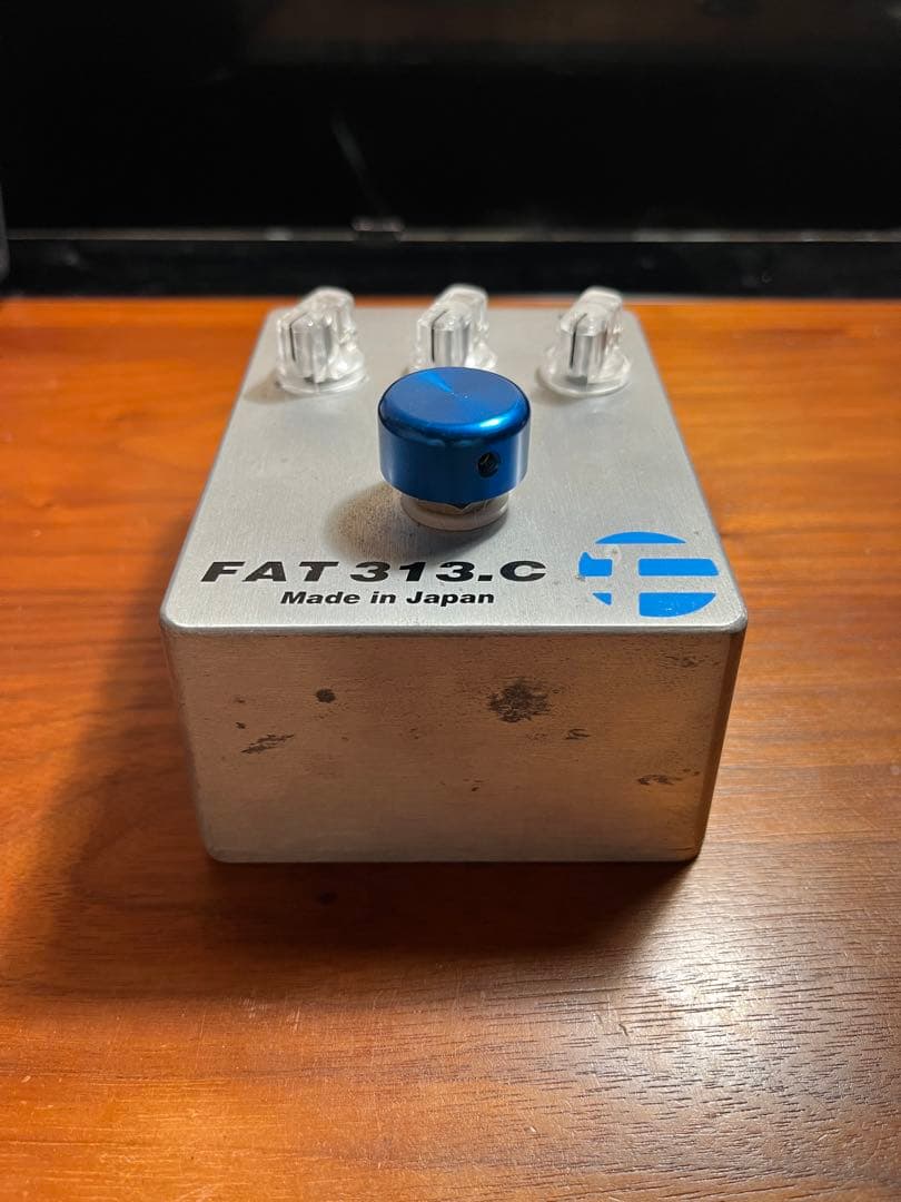 ギター FAT 313.C