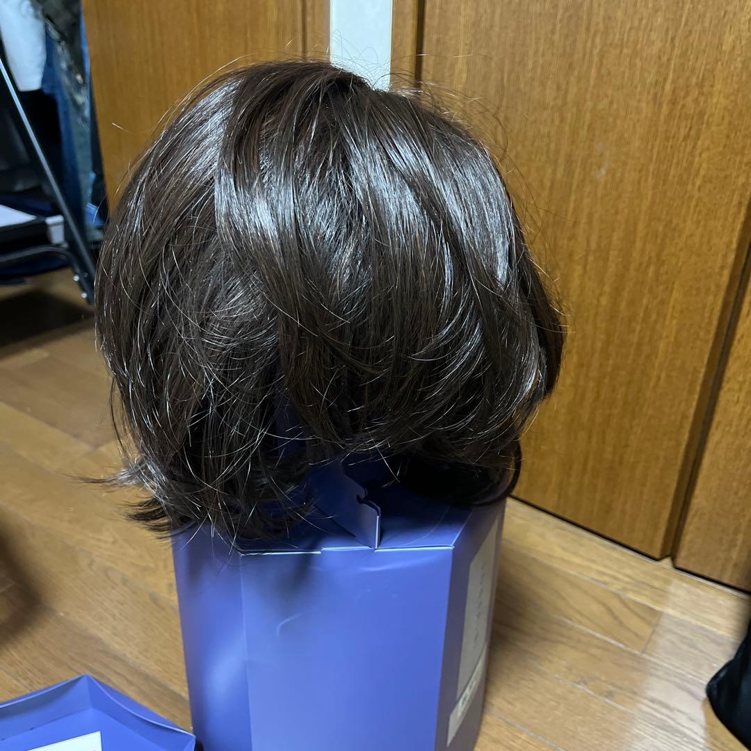 FONTANE ケアウィッグ ダークブラウン FS03M M35