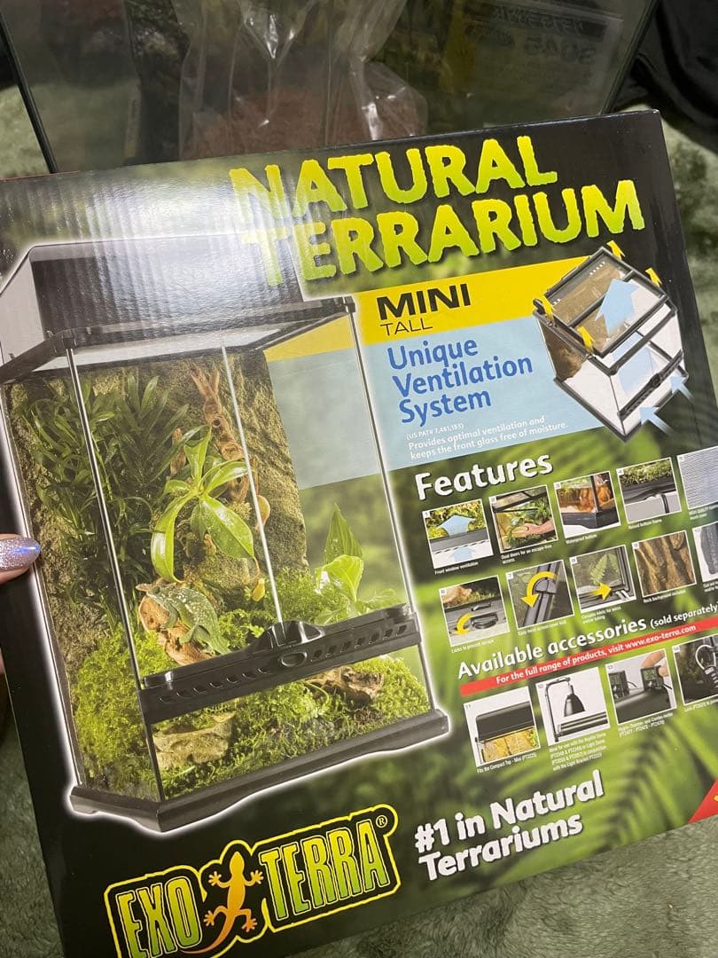 MINI TALL 3045 テラリウムセット　爬虫類　ガラスケース