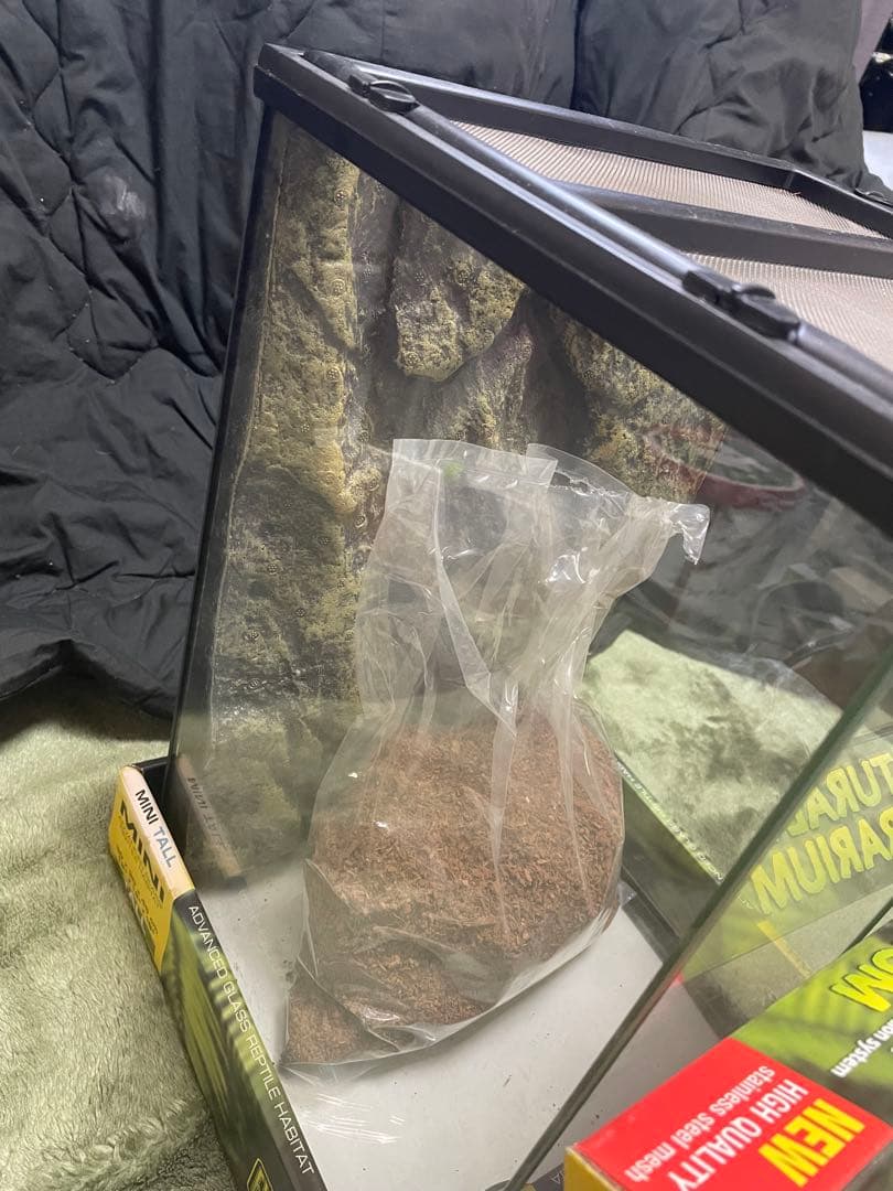 MINI TALL 3045 テラリウムセット　爬虫類　ガラスケース