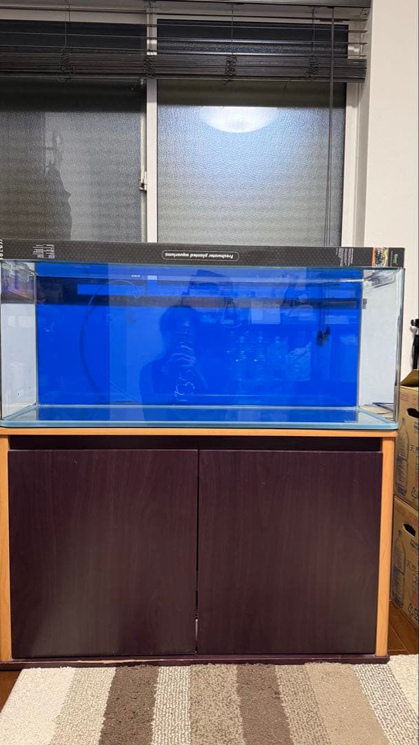 【BBWさま専用】【取りに来ていただける方】90cmスリム水槽＆水槽台&ライト＋