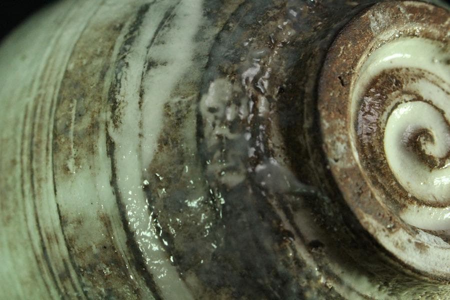 茶道具 桃形 粉引茶碗 共箱(K-A364)