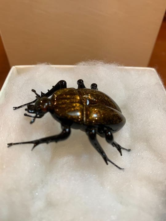 ベネチアンガラス　巨匠ヴィットリオ・コスタンティーニ　コガネムシ