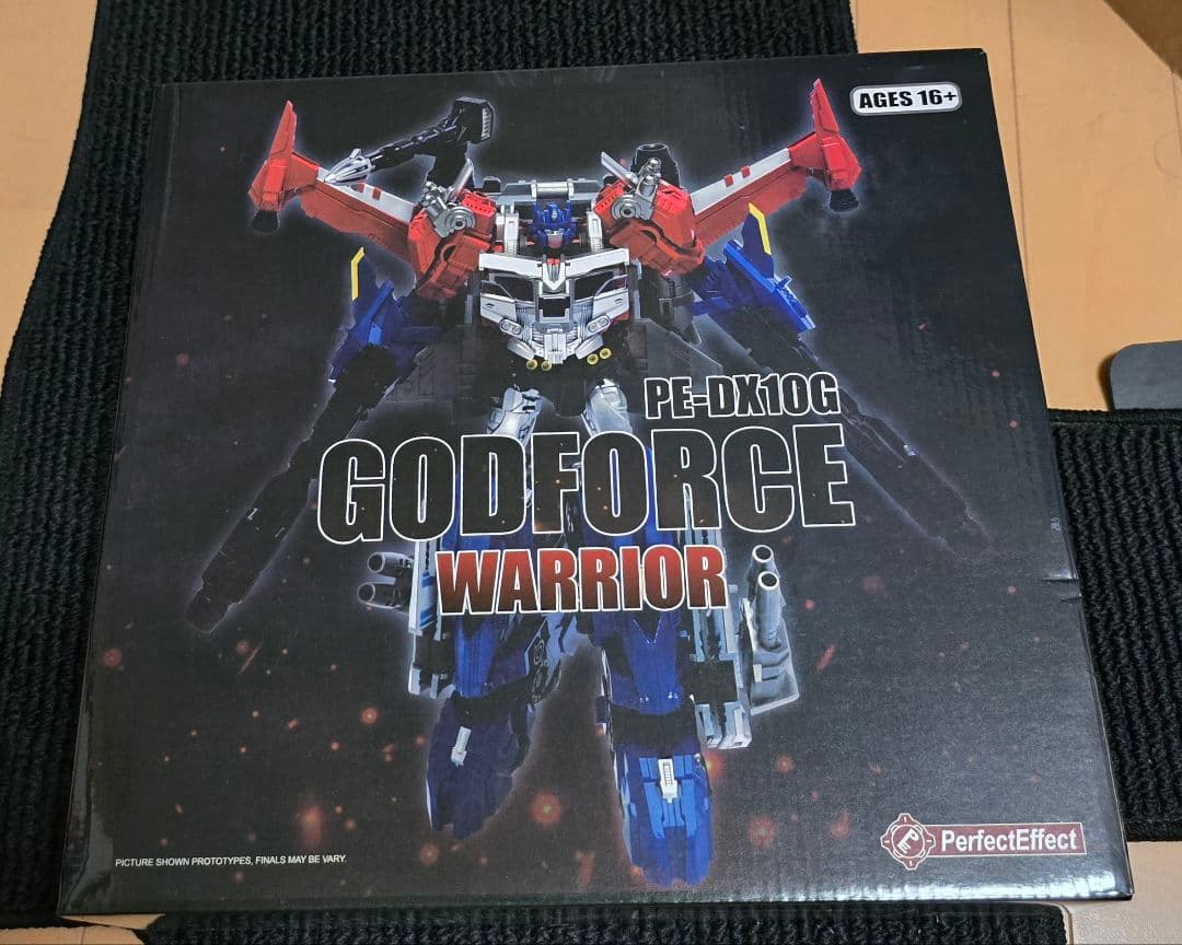 Perfect Effect　PE-DX10G