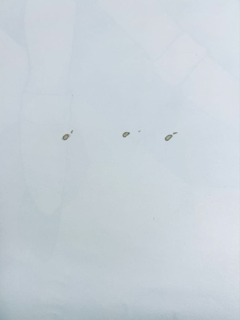 DAICON IV （ダイコン4）オープニングアニメーション ポスター