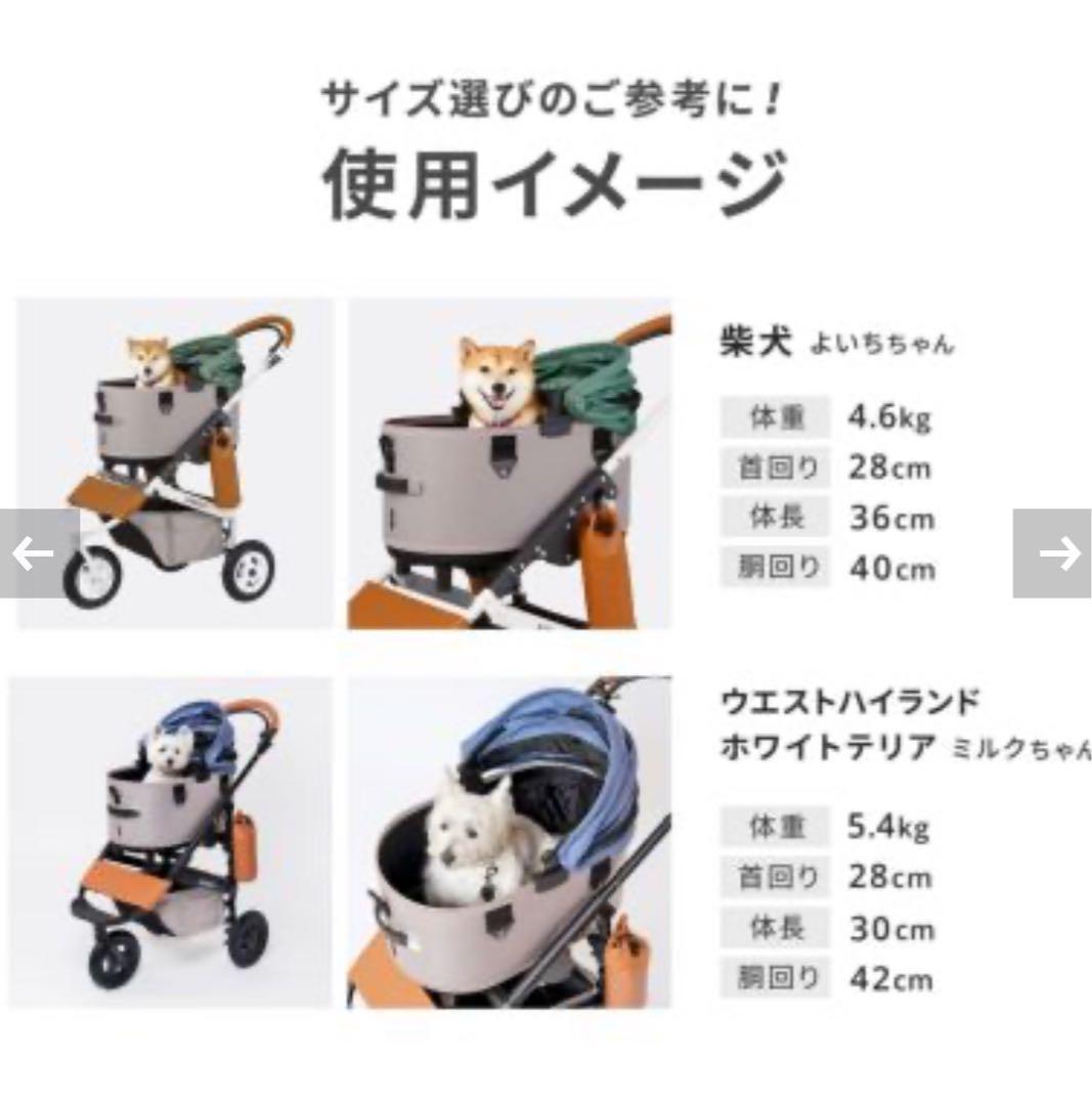 美品　オマケ多数　エアバギー　ドーム3　レギュラー　クローバー♣️