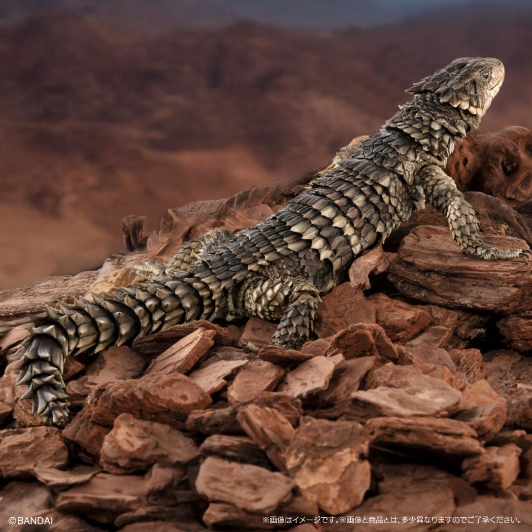 いきもの大図鑑アルティメット　オオヨロイトカゲ　輸送箱未開封 伝票貼跡なし
