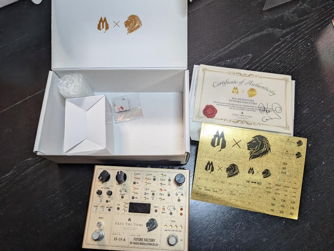 ギター FUTURE FACTORY FF-1Y-K