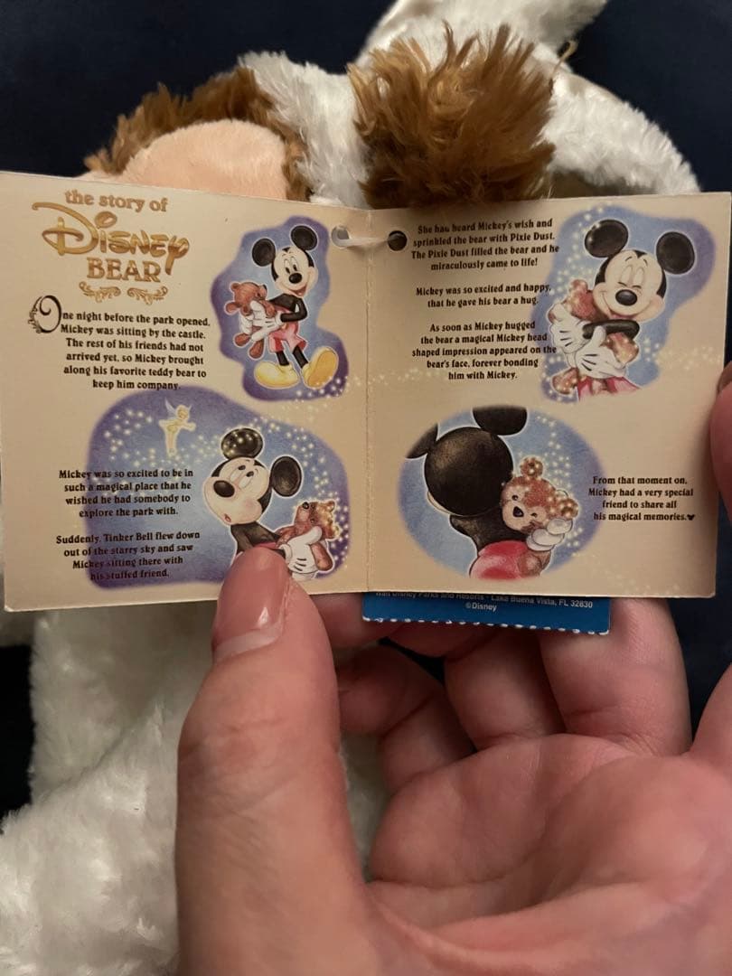 【希少品】ダッフィー 2003 イースターモデル