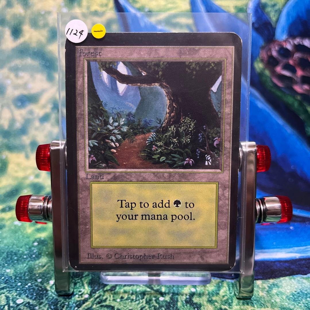 1124  《森/Forest》MTG アルファ　α [LEA] 基本土地