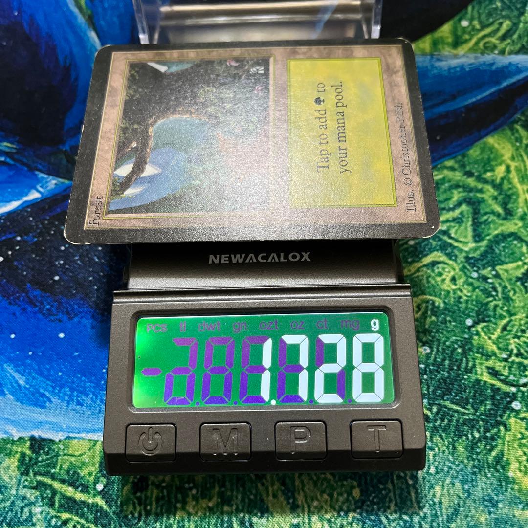 1124  《森/Forest》MTG アルファ　α [LEA] 基本土地