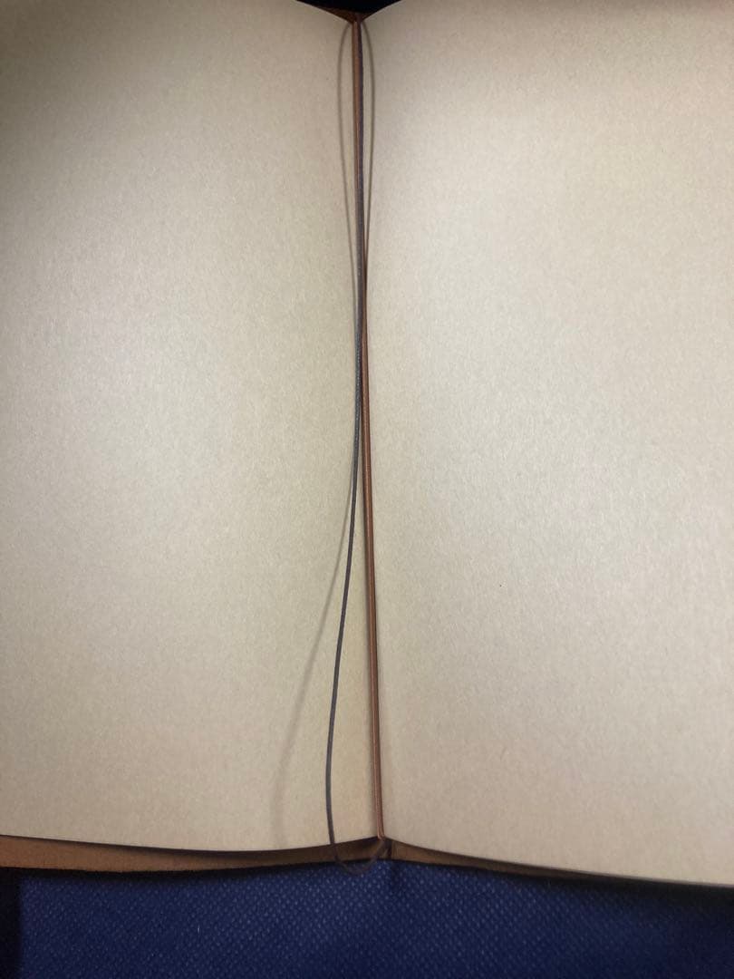 トラベラーズノート　ナイジェルケーボン 2021年コラボ　新品 限定品 レア