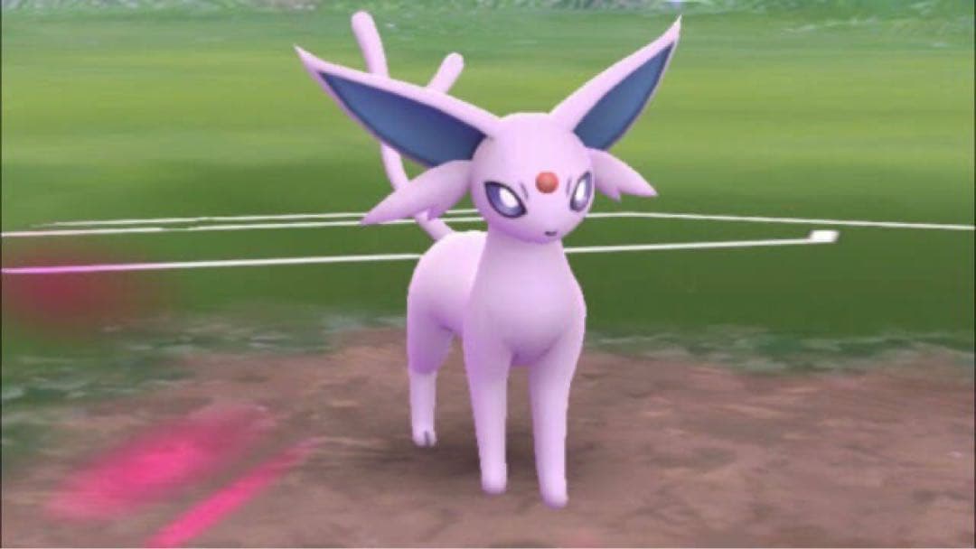 まるで等身大 エーフィ 80cm 特大 ぬいぐるみ ポケモン ポケットモンスター