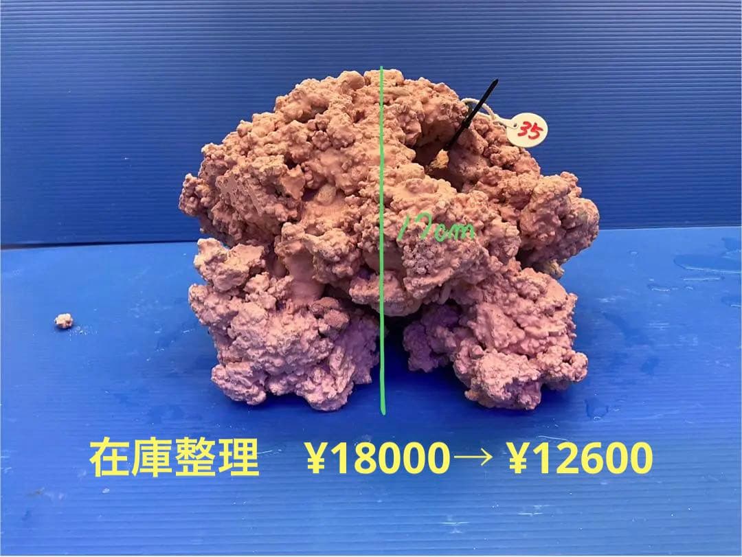 人工ライブロック　No.35 無害化処理済　⭕️在庫処分⭕️