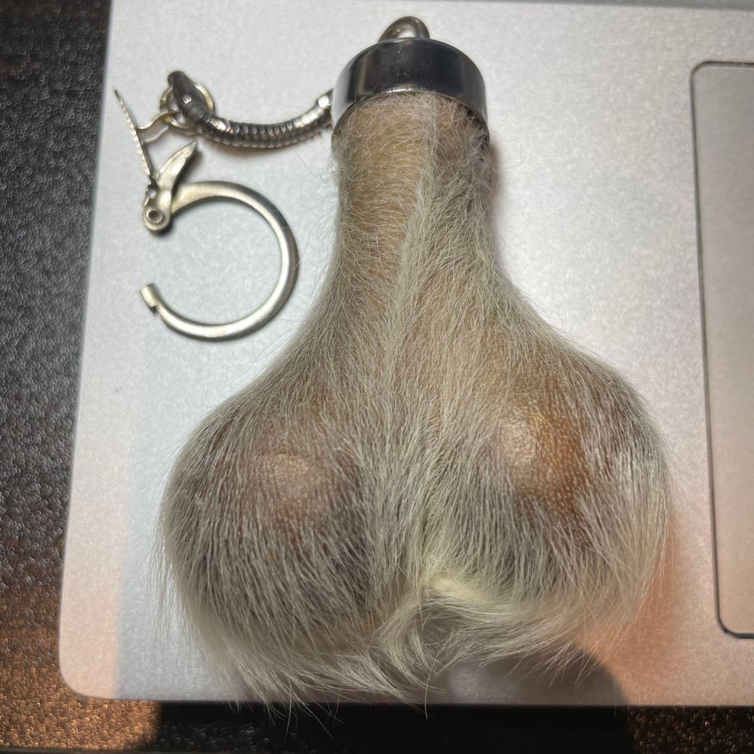 カンガルーのキンタマキーホルダー