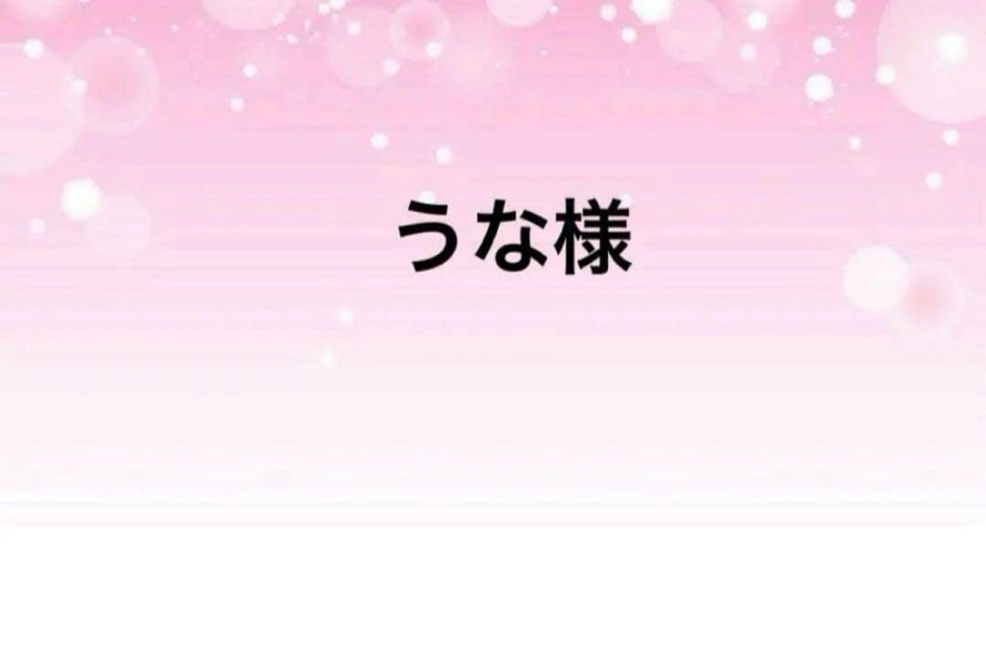 感謝価格　SALE 限定生地　ユキエモン　20cmファスナーダーツマチポーチ