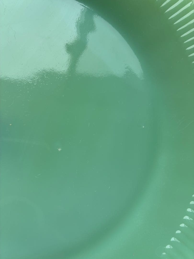 ファイヤーキング ジェーンレイ ディナープレート ジェダイFireking未使用