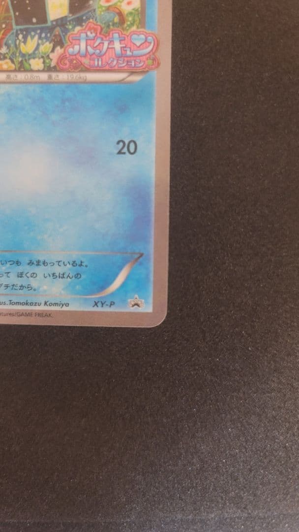 【ポケキュン】コダック プロモ　XY-P　プロモ　ポケカ　ポケモンカード