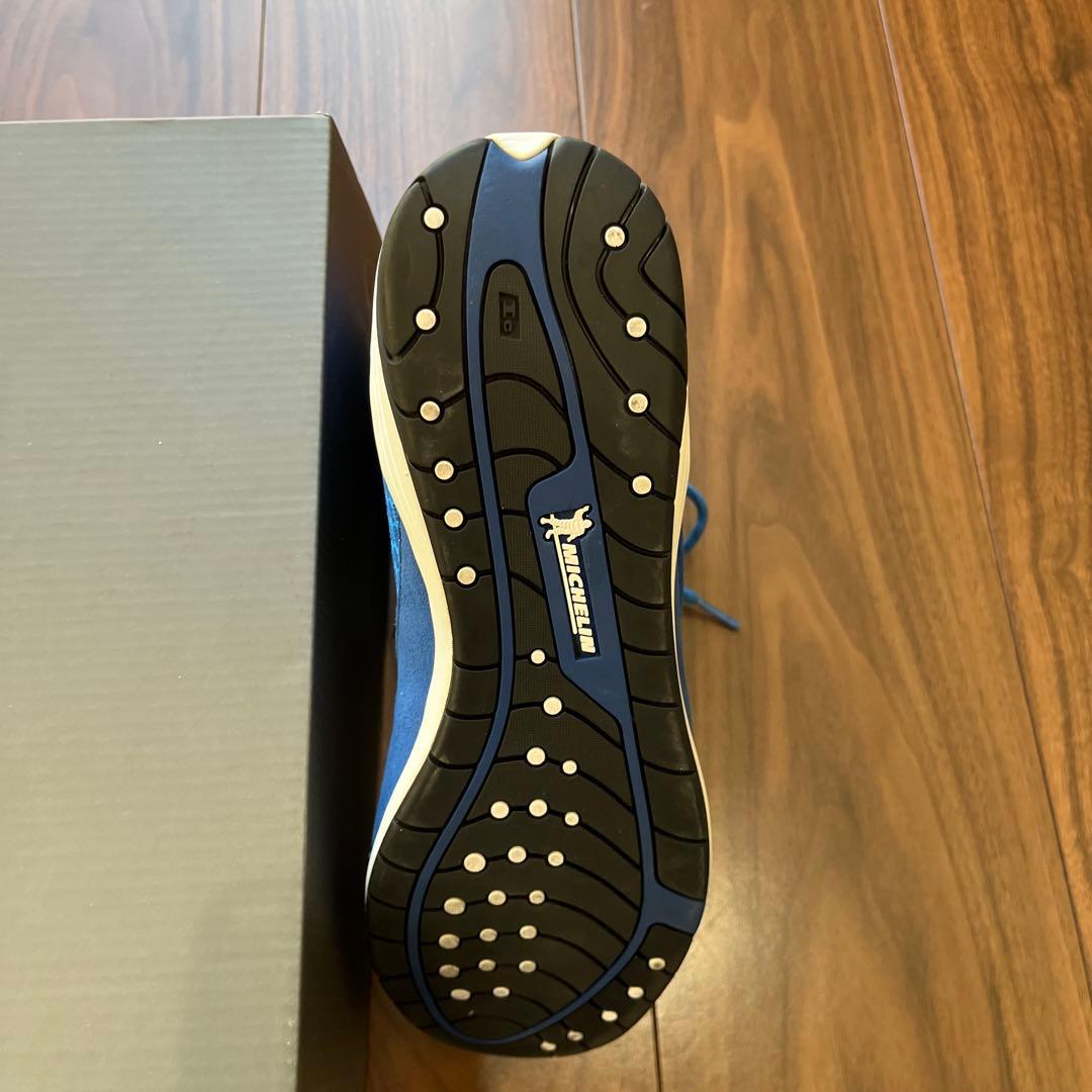 【最終値下げ】EVERLAST ボクシングシューズ　27㎝　美品　青