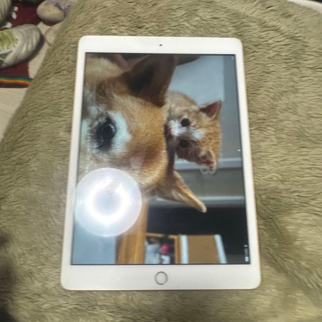 iPad本体 iPadAir 3 256gb