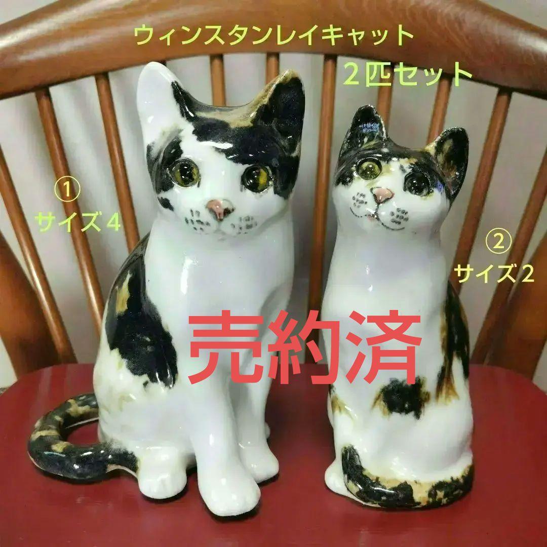 売約済、ウィンスタンレイキャット（ケンジントンキャット）サイズ４&２の２匹セット