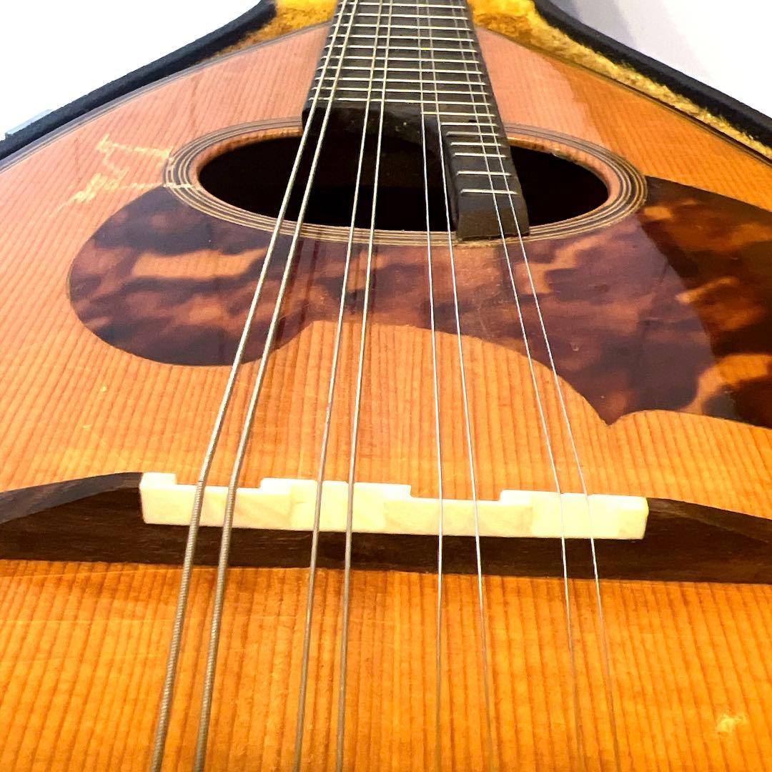 マンドリン SUZUKI NO.100 渦巻きヘッド　リブ彫り込み　スズキ