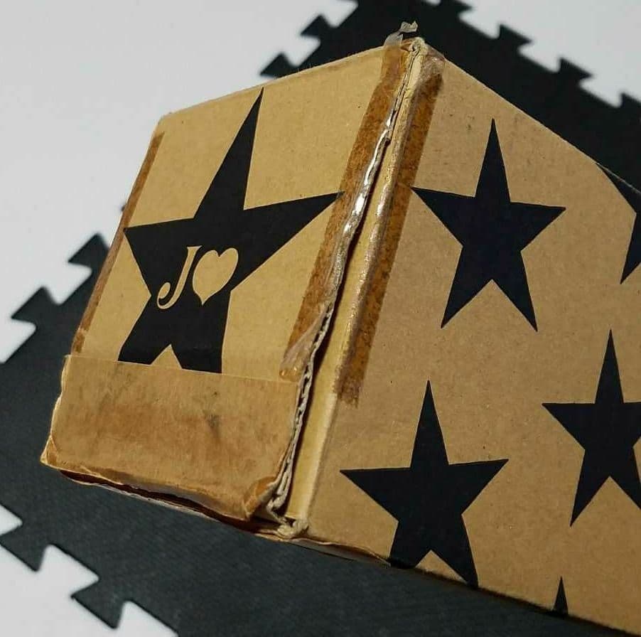 ジョジョ展 B1ポスター東京キービジュアル 承太郎&イギー 特大サイズJOJO