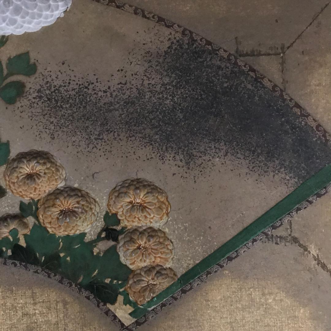 尾形光琳/菊花之図/扇面菊図/日本画/額/掛軸/掛軸/名家伝来/Y-838