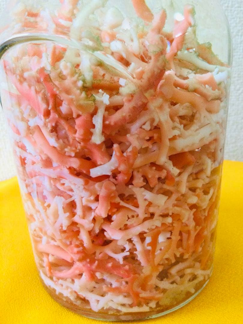 本珊瑚 桃色珊瑚　瓶詰め 原木 枝 置物　インテリア　ピンクサンゴ　コーラル