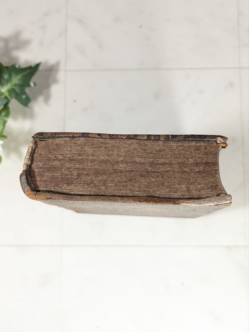 フランス アンティーク 洋書 パスカル パンセ 革装丁