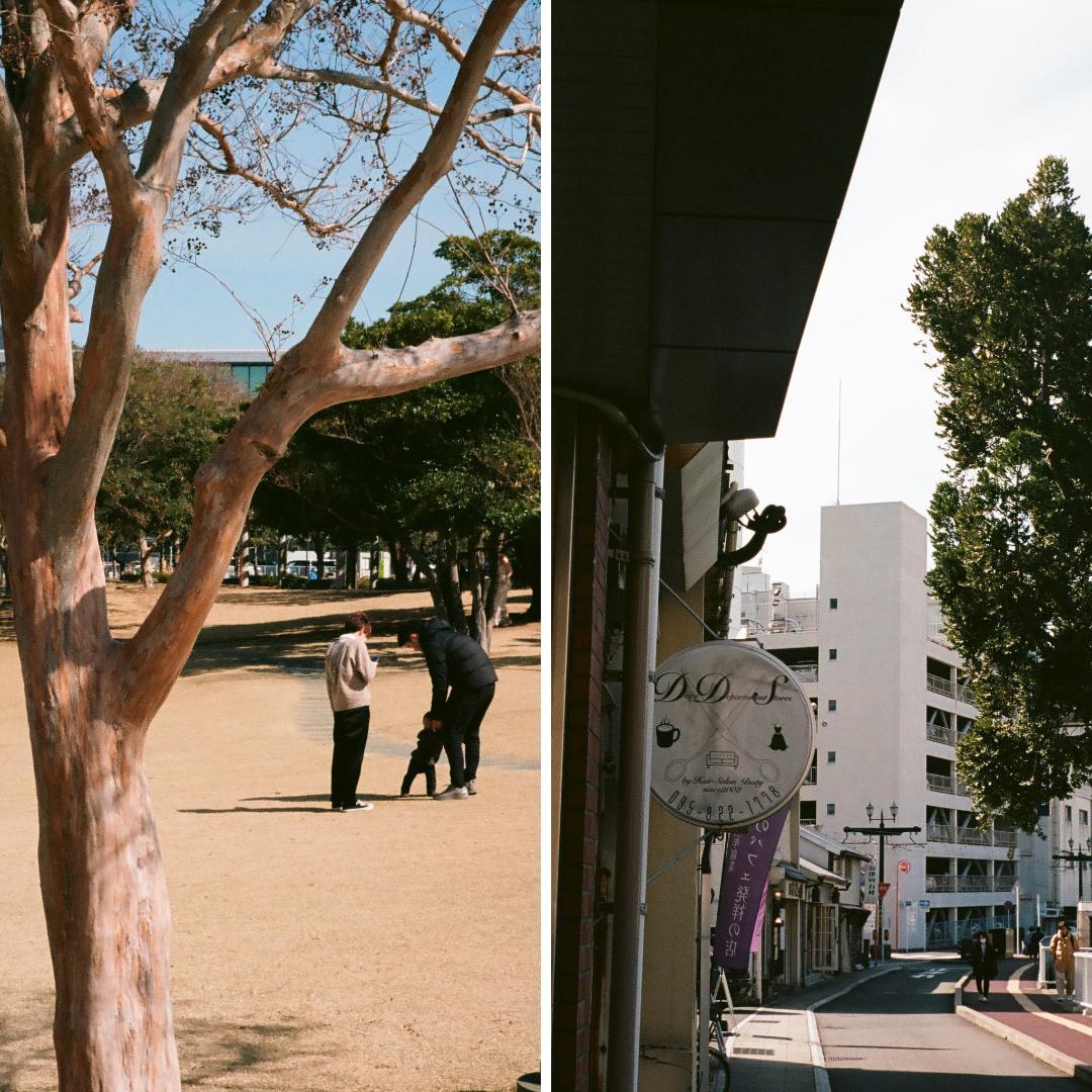 ✽35日作動保証✽TRIP35✽トリップ35✽OLYMPUSオリンパス