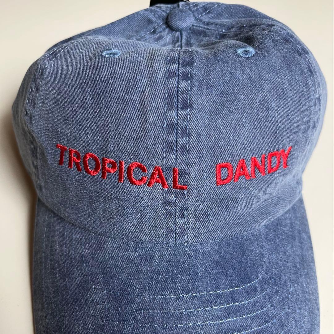細野晴臣 TROPICAL DANDY CAP トロピカルダンディー キャップ