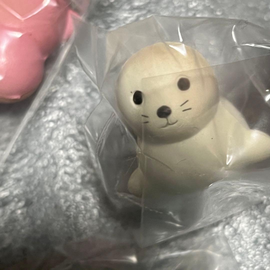 スクイーズ　ブルーム　アザラシ　3種セット　BLOOM